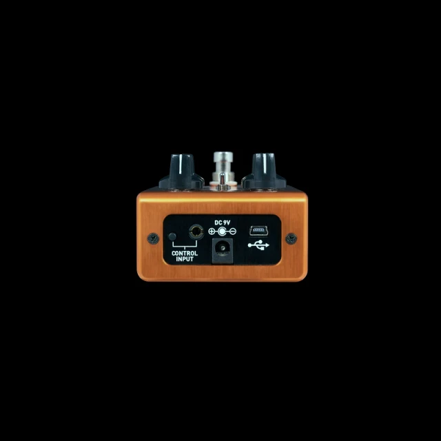 Source Audio AfterShock Bass 