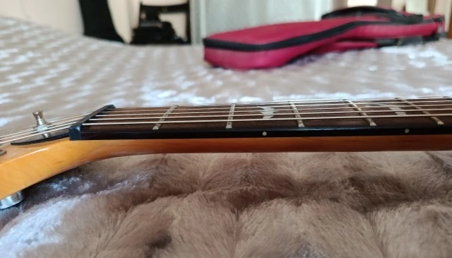 PRS SE Custom 24