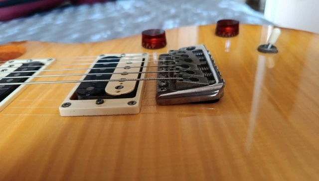 PRS SE Custom 24