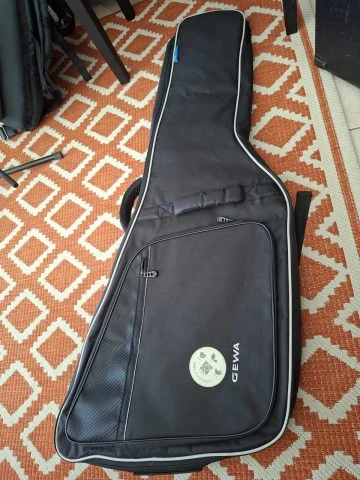 Epiphone Explorer Beast 2001