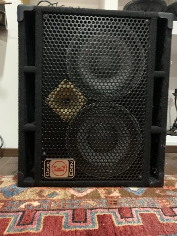 DAVID EDEN BASS CABINET D210XLT