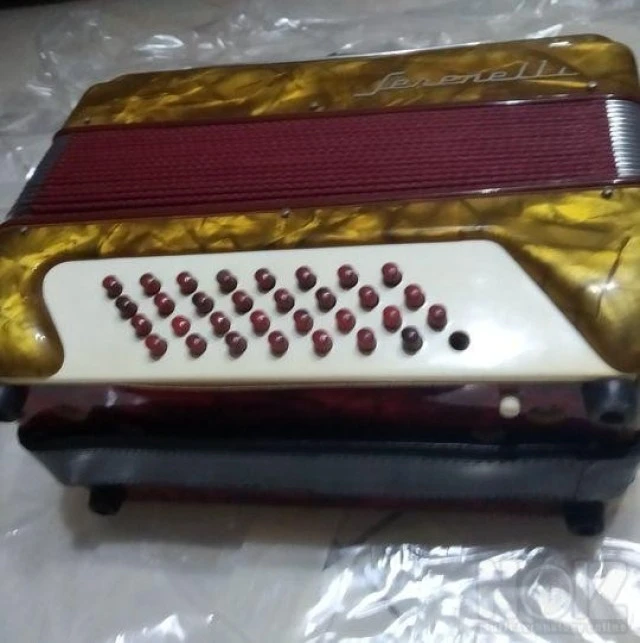VINTAGE Serenelli Accordion 24 - Ακορντε