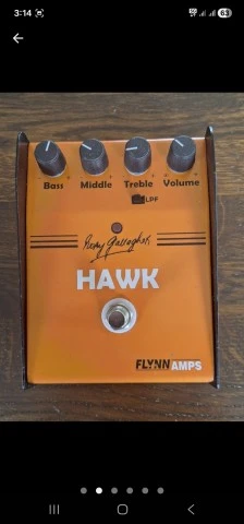 RORY GALLAGHER HAWK