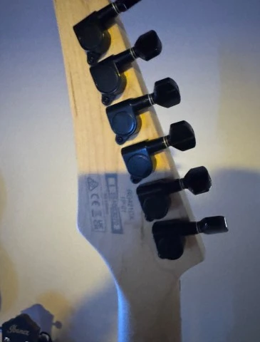 Ibanez RG421 (2026)