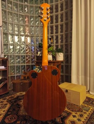 Epiphone Wildkat (Bigsby), Antique Natural, 2014