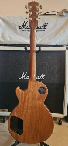 Gibson les paul standard 