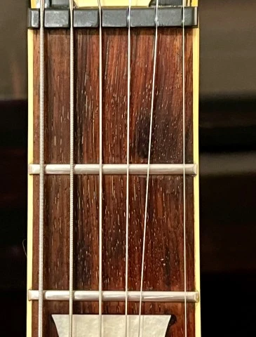 HOHNER PROFESSIONAL L59