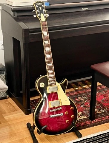 HOHNER PROFESSIONAL L59