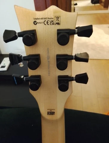 ESP LTD WA Warbird Will Adler