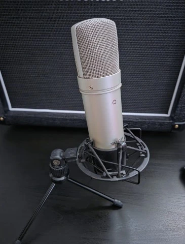 Μικρόφωνο Tascam TM-80 