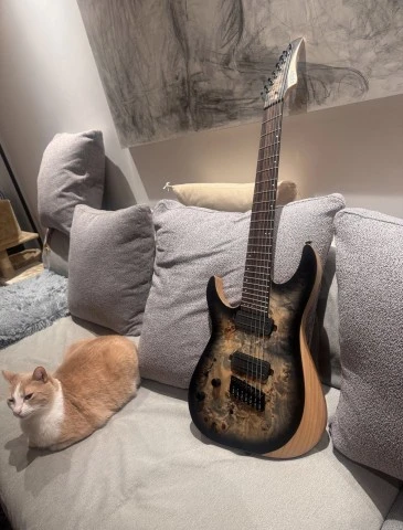Schecter Reaper-7 Multiscale LH – 7 String – Άριστη κατ