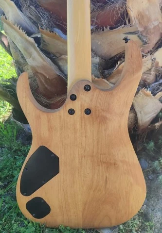 Ibanez Custom Build