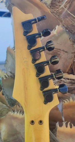 Ibanez Custom Build