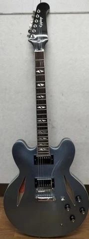 Epiphone Dave Grohl DG-335 