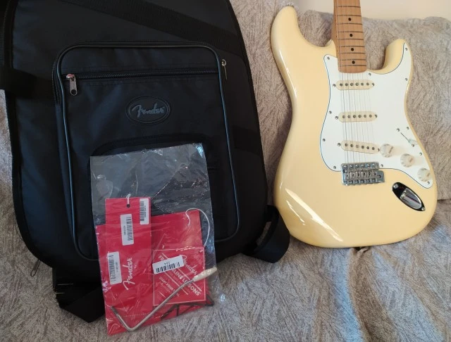 70's Stratocaster 70th anniversary