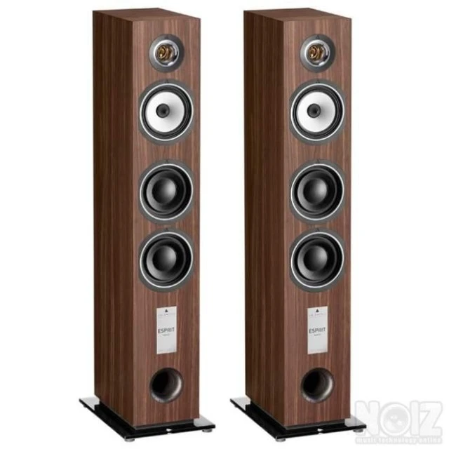 ΗΧΕΙΑ TRIANGLE GAIA ESPRIT EZ