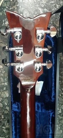 SCHECTER CORSAIR 2010