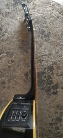 Takamine EG321C