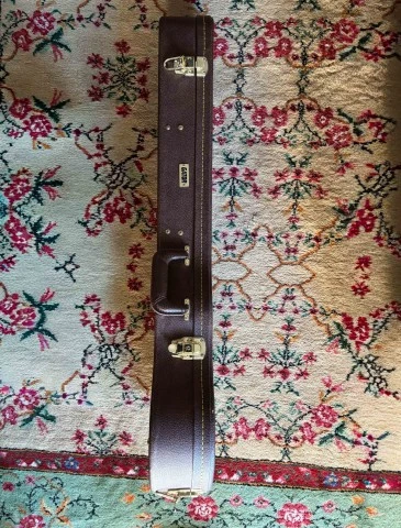 Θήκη GATOR Les Paul &amp; Flight Case Επαγγελματική