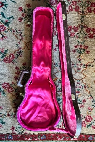 Θήκη GATOR Les Paul &amp; Flight Case Επαγγελματική
