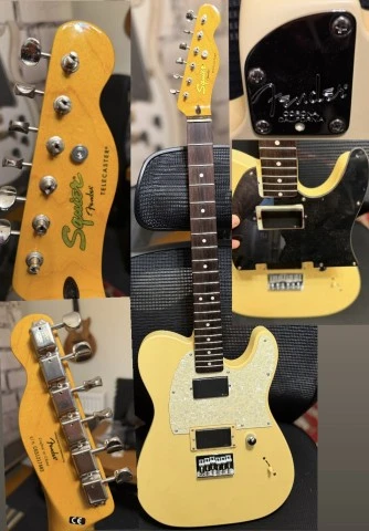 Jim root Telecaster EMG81-60