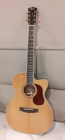Cort Gold OC8  ηλεκτρακουστική καινούργια