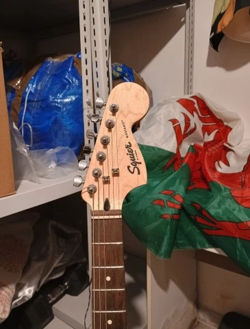 Squier Mustang + θήκη