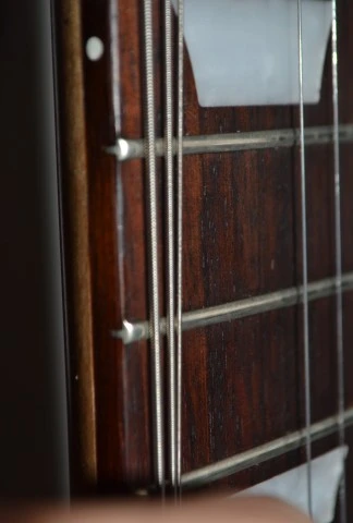 Gibson Les Paul Tribute 