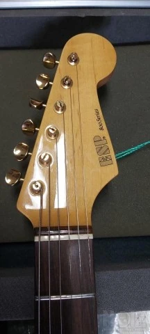 1990 ESP/SCHECTER S800 HSS BLD