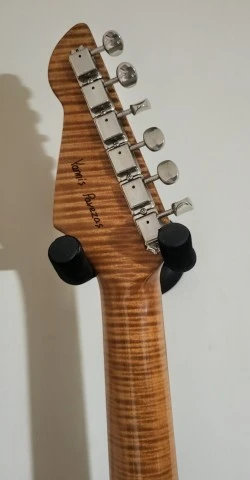 Custom Stratocaster by Pavezas