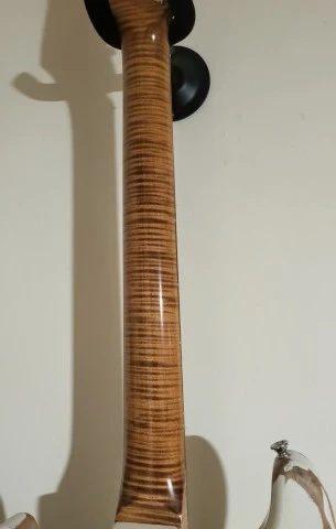 Custom Stratocaster by Pavezas