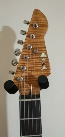 Custom Stratocaster by Pavezas