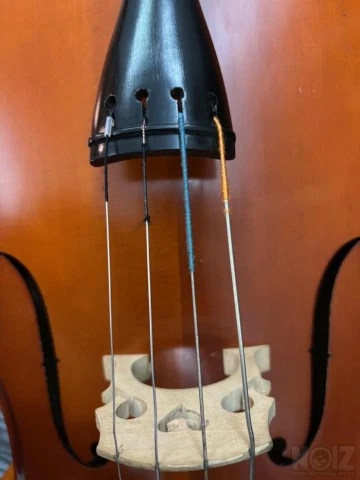Τσέλο Cello Tselo