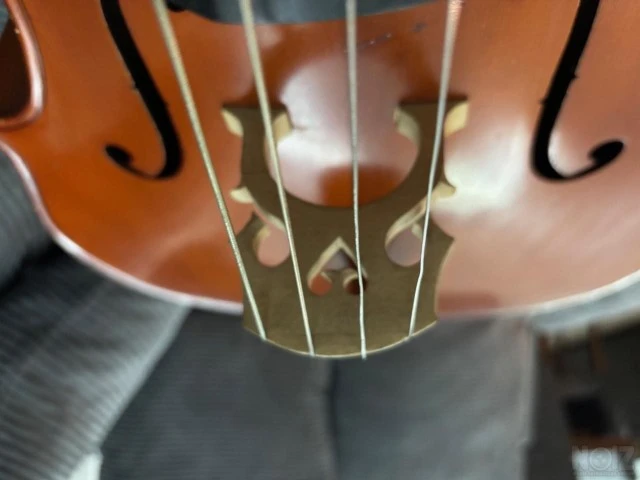 Τσέλο Cello Tselo