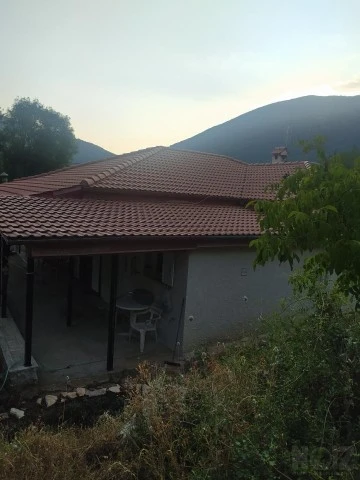 ΚΙΘΑΡΙΣΤΑΣ ΨΑΧΝΕΙ ΑΤΟΜΑ ΓΙΑ ΓΛΑΜ ΚΑΙ ΧΕΒ