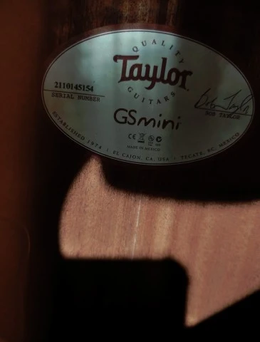 Taylor Gs mini με μαγνητη Εs-Go for Taylor