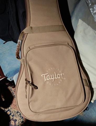 Taylor Gs mini με μαγνητη Εs-Go for Taylor