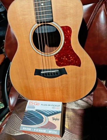 Taylor Gs mini με μαγνητη Εs-Go for Taylor
