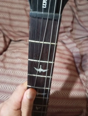PRS SE Custom 24