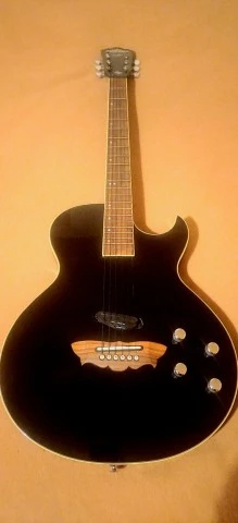WASHBURN Sammy Hagar RR-100