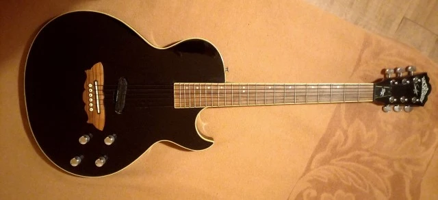 WASHBURN Sammy Hagar RR-100