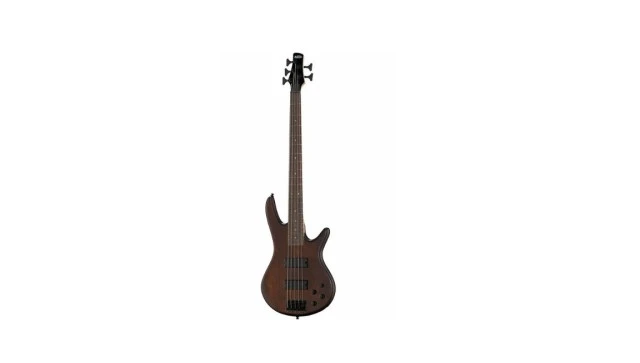Ibanez GSR205B-WNF ΠΩΛΗΣΗ