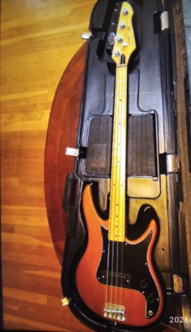 PEAVEY PATRIOT BASS ΖΗΤΕΙΤΑΙ ΓΙΑ ΑΓΟΡΑ