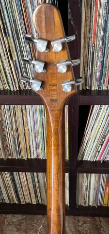 Eko c44 professional unibody