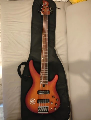 Yamaha trbx 505 brb