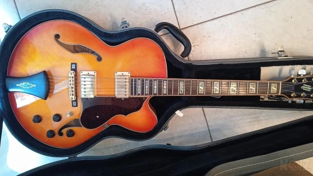 Τελική Τιμή !!! Ibanez AF-125 hollow bod
