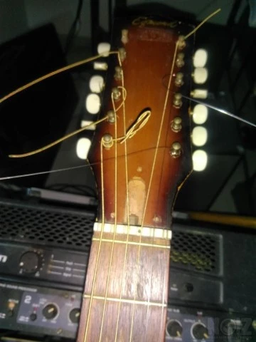 12 string EGMOND 1956 SHORTNECK made in 