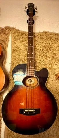 Epiphone El Capitan Cutaway 1995