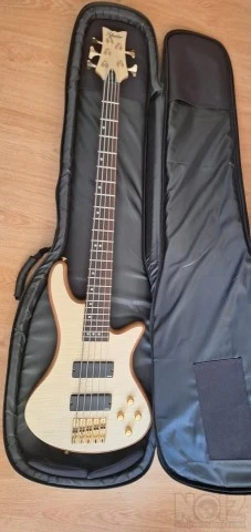 Schecter Stiletto Custom-5
