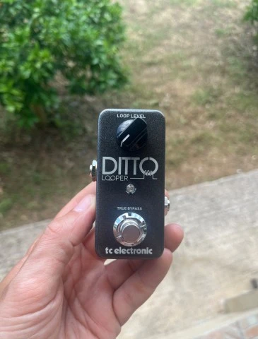 Ditto looper